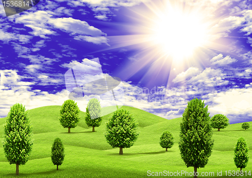 Image of Green grass hills and trees