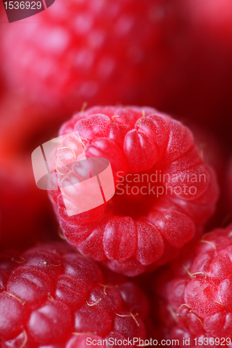 Image of raspberry