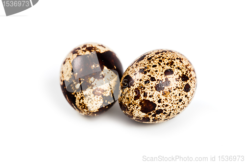 Image of two quail eggs