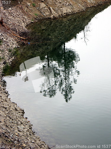 Image of Upside down trees. Xyliatou. Cyprus