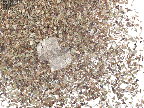 Image of Oregano spice