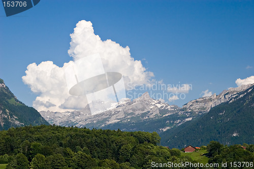 Image of Spring Landscape