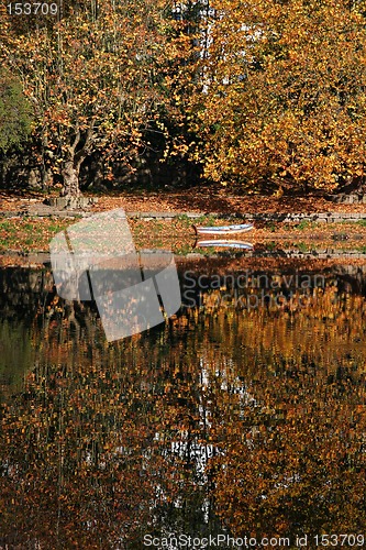 Image of autumn scene