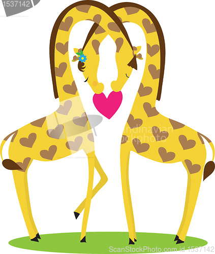 Image of Giraffe Love