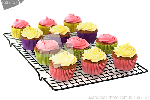 Image of Cupcakes