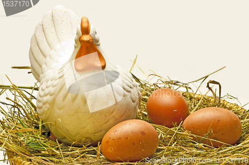 Image of egg