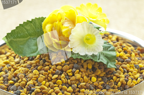 Image of bee pollen