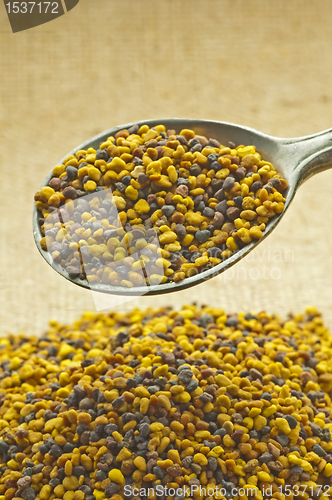 Image of bee pollen