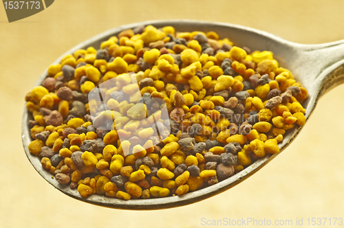 Image of bee pollen