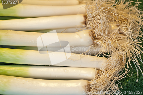 Image of leek