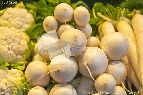 Image of radish