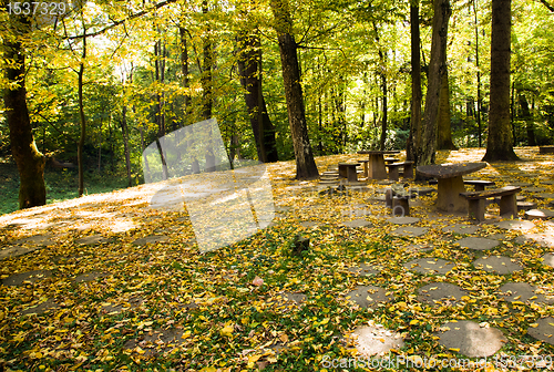 Image of Benches in park