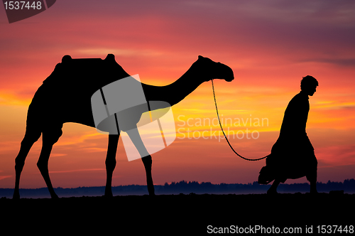 Image of Silhouette of Arab with camel at sunrise