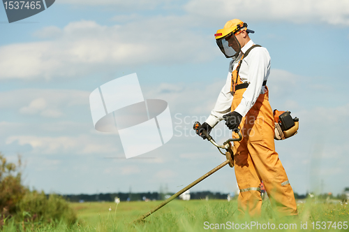 Image of Grass trimmer works