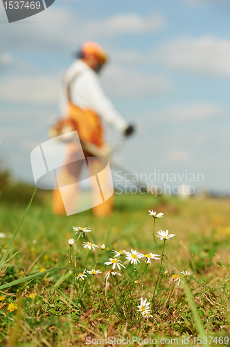 Image of Grass trimmer works concept