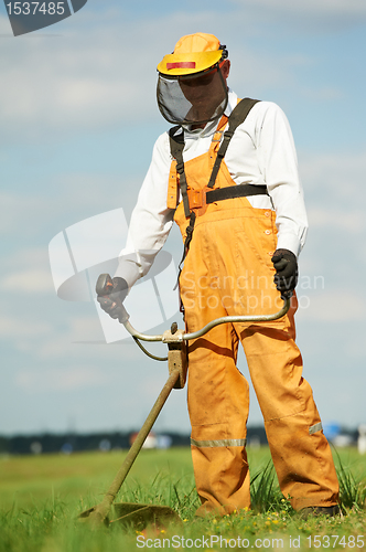 Image of Grass trimmer works