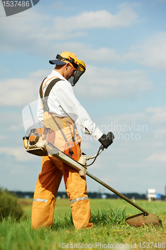 Image of Grass trimmer works