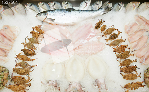 Image of set of fresh frozen seafood