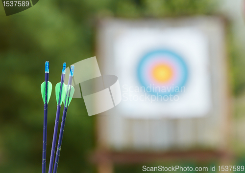 Image of Archery equipment - arrows and target