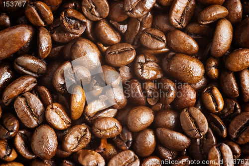 Image of coffee beans