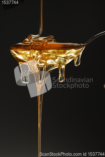 Image of Golden honey