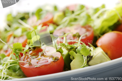 Image of fresh salad