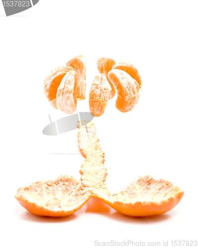 Image of tangerine