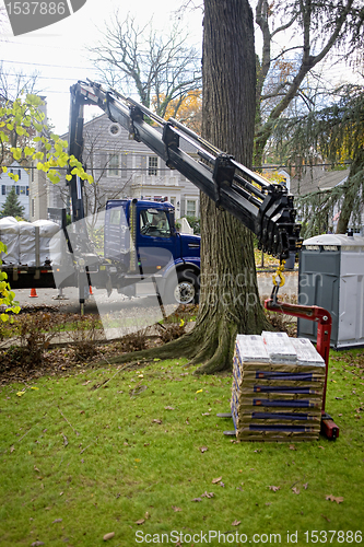 Image of Crane Delivery