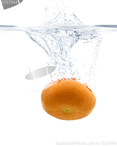 Image of Tangerine