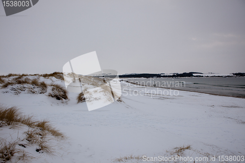 Image of Winter on the beach