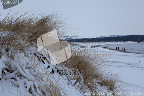 Image of Winter on the beach