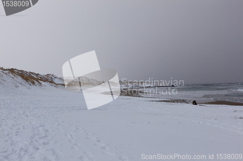 Image of Winter on the beach