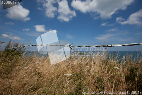 Image of Wire Fance