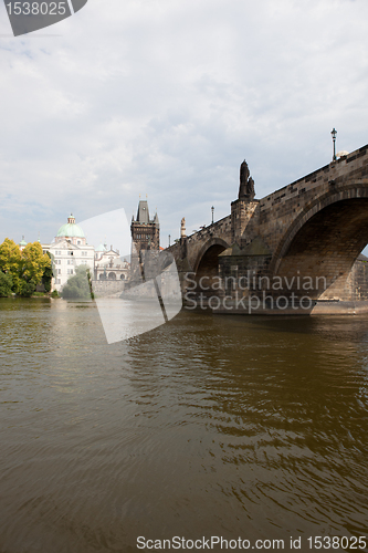 Image of Judith Bridge
