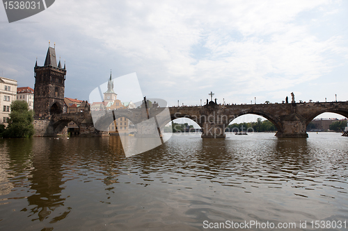 Image of Judith Bridge