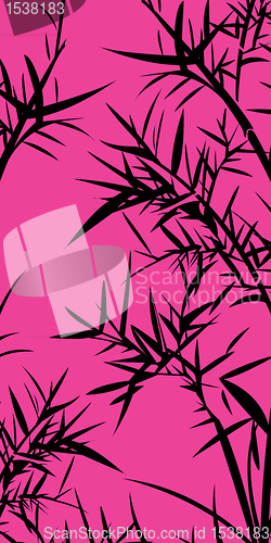 Image of Bamboo foliage