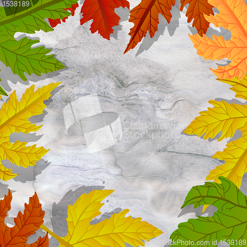 Image of Grungy leaves frame