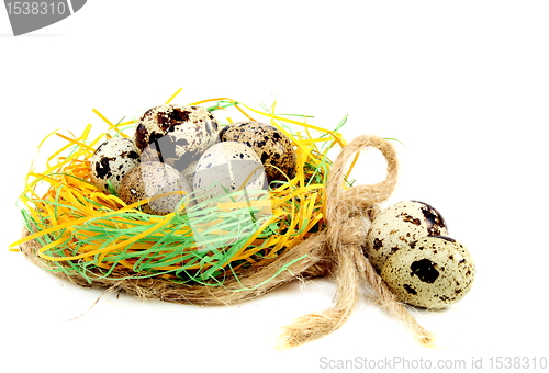 Image of Colourful easter eggs in the nest.