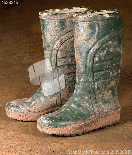 Image of green dirty rubber boots