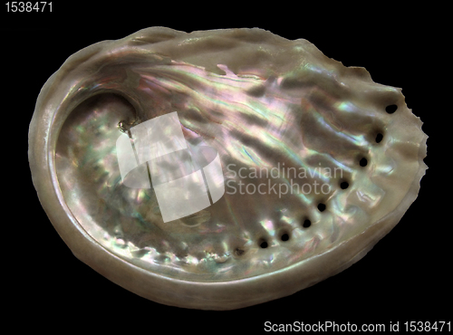 Image of colorful Abalone inside