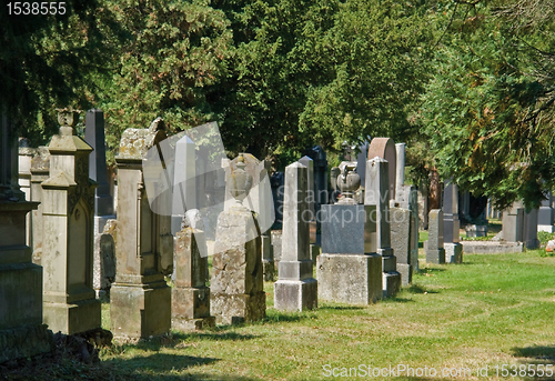 Image of jewish graveyard in sunny ambiance