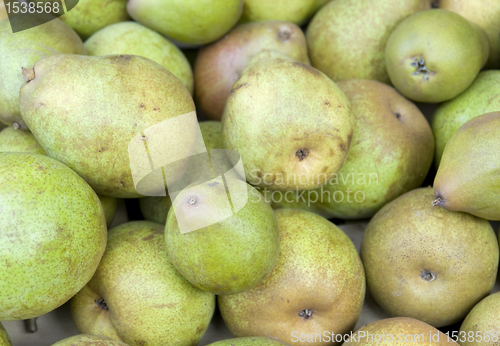 Image of background with green pears