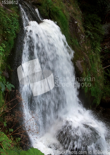 Image of idyllic Triberg Waterfalls