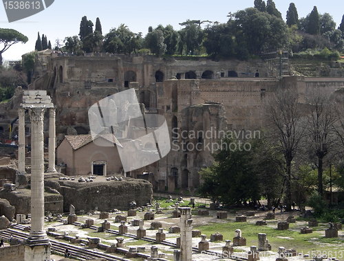 Image of detail of the Forum Romanum