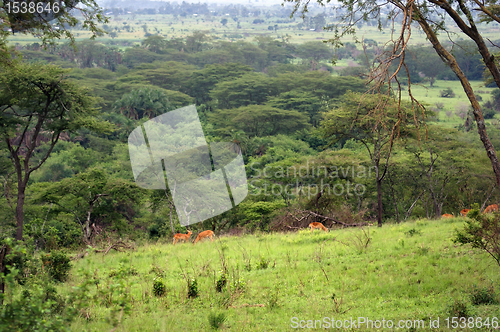 Image of Queen Elizabeth National Park in Uganda