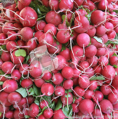 Image of full frame radish background