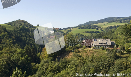 Image of Black Forest scenery at summer time