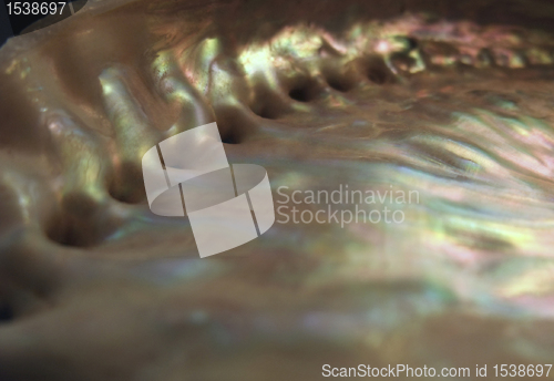Image of colorful nacre closeup