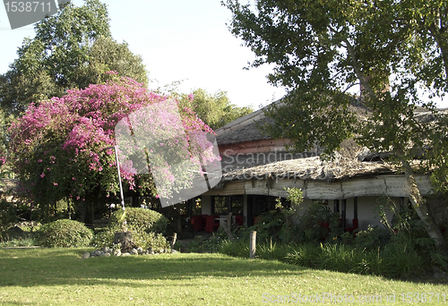 Image of idyllic Momela Wildlife Lodge