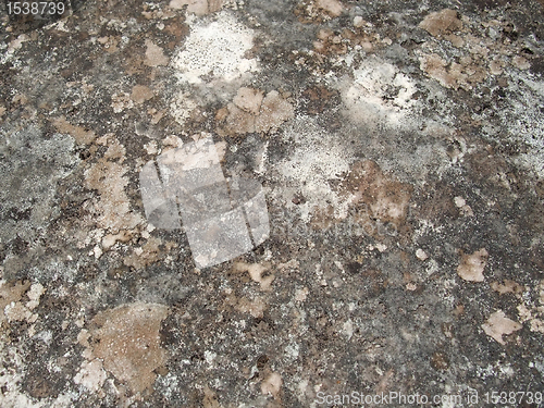 Image of weathered lichen background